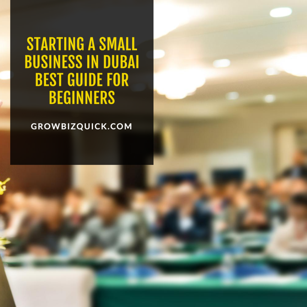 Starting a Small Business in Dubai Best Guide for Beginners (1)