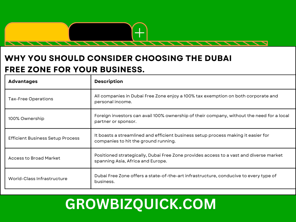 why you should consider choosing the Dubai Free Zone for your business.